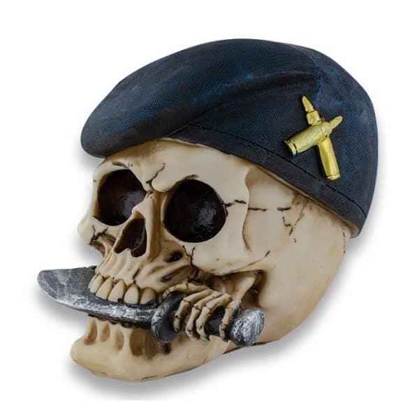 Craniu militar